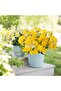 Artificial 15-Piece Daffodil Bouquet Wet Textured 35 cm Yellow - 4