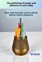 Pen Holder Desk Pen Holder Organizer Pen Holder Gold Antique Color Model 89 - 2
