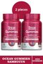 Ocean Gummies Sambucus 60 Pieces Chewable Gel Form 2 Pieces