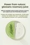 Rosemary Water Anti-Hair Loss and Hair Growth Supporting Hair Tonic 100% Natural 100 ml X 2 - 3