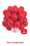 10 Pastel Balloons - 12 Inches - 2
