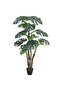 اشجار المونستيرا الصناعية-85cm/7L - 5