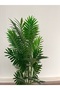 نخيل صناعي-120cm/29L - 3