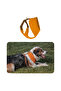 Harlowe Soft Dog Collar - Comfortable and Stylish