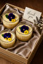 3-Piece Round Striped Glass Magnolia Presentation Bowl – Dessert, Breakfast, Appetizer and Snack Bowl