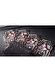 Evolution 2 Game Cards - 4