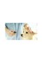 Pet Clipper, 4 Interchangeable Heads, Neo™ - 5