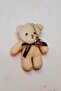 Mini Cute Plush Teddy Bear Keychain (Premium, in Gift Box, Note Writable)