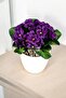 Artificial Flower Decorative Violet Purple - 2