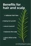Fresh and Pure Rosemary Water Anti-Hair Loss and Fast Hair Growth Supporting Hair Tonic 150 ml - 2