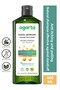 Natural Anti-Dandruff Shampoo 400 ml (Vegan, Salt Free)