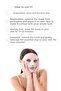 On Royal Jelly Mask Royal Jelly Mask Pack of 5 - 3
