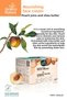 Nourishing Face Cream – Contains Peach Juice and Shea Butter - 2