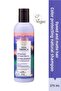Color Protective Natural Shampoo 270 ml -Taiga Siberica.