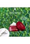 Plumping and Renewing Night Cream – Herbal Collagen Supported - 3