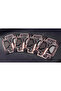 Evolution 2 Game Cards - 3