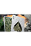 |   Lord of the Rings Playing Card - 3