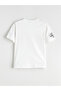 Lcw Kids Crew Neck Printed Boys' T-Shirt - 4