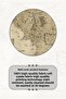 Lord of the Rings Middle-Earth Map Patterned Wall Covering Wall Tapestry Suede Textured Fabric - 3