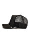 .The Bandit (Raccoon Figure) Hat 101-0379 - 3