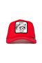 .The Bandit (Raccoon Figure) Hat 101-0379
