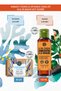 Revitalizing Mango-Coriander and Cooling Ocean Shower and Care Set-9916875 - 2