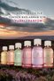 Verte Envolee - EDP - 100 ml - 7