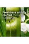 Air Freshener Morning Freshness 300 ml Spray with Crisp Clean Scent for Long Lasting Daily Freshness - 4