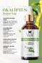 Eucalyptus Cold Pressed and Natural Herbal Eucalyptus Essential Oil 100ml - 7