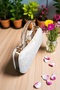 White Heeled Shoes, Evening Dress Shoes with Ankle Stones and Bag Set for Weddings and Special Occasions - 4