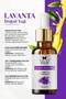 Lavender Cold Pressed and Natural Herbal Lavender Essential Oil 10ml - 3