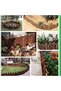 FFD Garden Fence Plant Picket Fencing Flower Bed Edge Wooden Interlocking Panels Antiseptic - 6