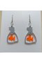 Fish Earrings in Bag