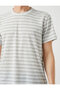 Standard Fit Striped T-Shirt - 5