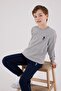 4-15 Years Licensed Us Polo Assn Boys Team-Space Gray - 5