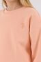 4-15 Years Licensed Us Polo Assn Girls' Set-Salmon - 6