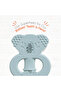 Baby Training Toothbrush & Teether | Soft BPA-Free Infant Tooth Brush, Teething Relief - 6