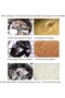 High-Speed Stainless Steel Grain Grinder 200gm - 7