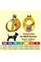 Citrus Air-Mesh Chest Harness Cat Dog Chest Harness Citrus Pattern Dog Harness - 2