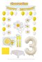 Bal10 3 Year Old Daisy Themed Birthday Party Set
