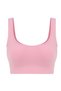 Luna Seamless Padded Supported Seamless Sports Bra - Pink