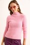 Women's Pink Stand Collar Ribbed Beard Knitwear Sweater Kzk-19000979 - 2