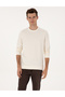 Ecru Regular Fit Sweatshirt 50313762-Vr019