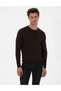 Dark Brown Slim Fit Crew Neck Rayon Knitwear Sweater 50315763-Vr084