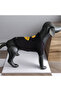 Always Smile Black Sweater for Dog - 3