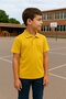 School Uniform Polo Neck T-Shirt - All-Day Comfort - Breathable Fabric, Durable and Comfortable - Short Sleeve - 3