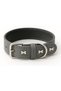 Adjustable Dog Collar, 65 cm - 4