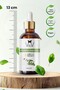 Eucalyptus Cold Pressed and Natural Herbal Eucalyptus Essential Oil 100ml - 2