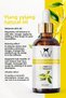 Ylang Ylang Cold Pressed 100% Pure and Natural Herbal Ylang Ylang Essential Oil 100ml - 3