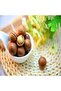 Macadamia in Shell (1kg) - 2